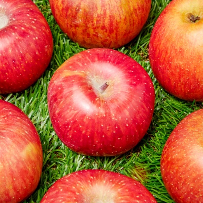 실속으로 즐기는 당도 꽉찬 부사사과 3kg