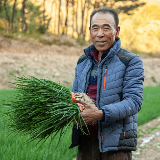 문영수 농부의 보성 흙쪽파 1kg