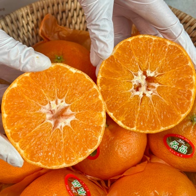 제주 고당도 만감류 달콤한 레드향 4kg