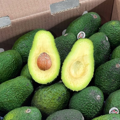 [대용량] 직수입 프리미엄 아보카도 5.5kg