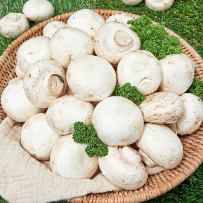 고기와 찰떡궁합인 국내산 양송이 버섯