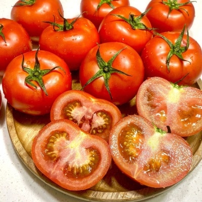 GAP 인증! 당일 수확 단단한 완숙토마토