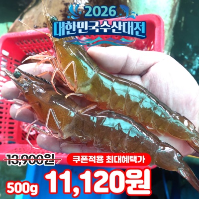 대왕 사이즈 살아있는 (활) 왕돼지 흰다리새우  500g (10~11미 내외)