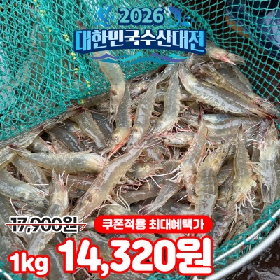 26년 살아있는 (활) 흰다리 왕새우 1kg (30~35미 내외)