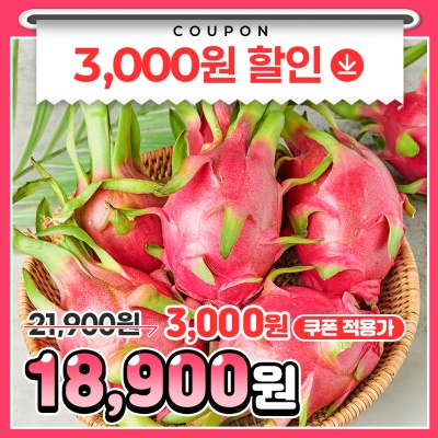 직수입으로 신선도 보장! 달콤하고 부드러운 백용과 적용과