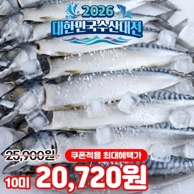 신선함이 살아있는 노르웨이산 자반고등어 10미