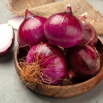 발효 해초로 재배한 국내산 햇 자색양파 3kg