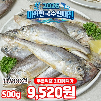 바로 조리해서 먹는 국내산 제주 저염 손질 참조기