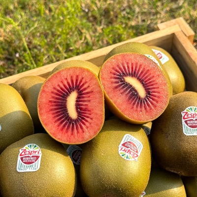 고당도 제스프리 왕 점보 루비레드키위 8과