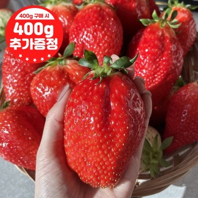 https://aka-dolfood.moall.shop/data/goods/sm7396/small/thum2/제목없음1_20250203111046267오전_1.jpg