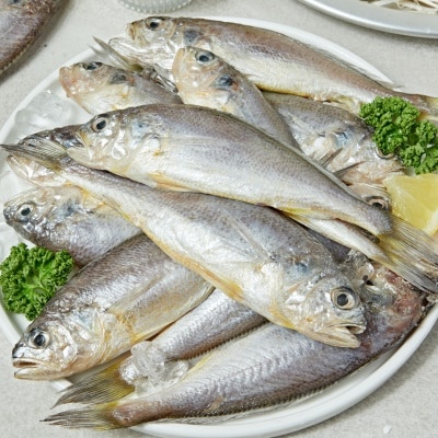 바로 조리해서 먹는 국내산 제주 저염 손질 참조기