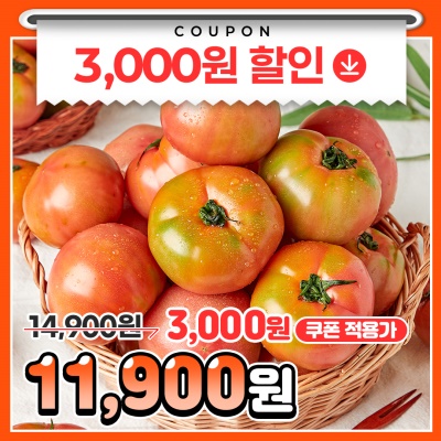 GAP 인증! 당일 수확 신선한 찰토마토