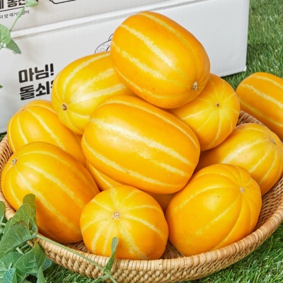 자체선별 프리미엄 하우스 성주 꿀참외