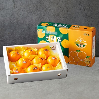 제주 제철 만감류 천혜향 선물세트