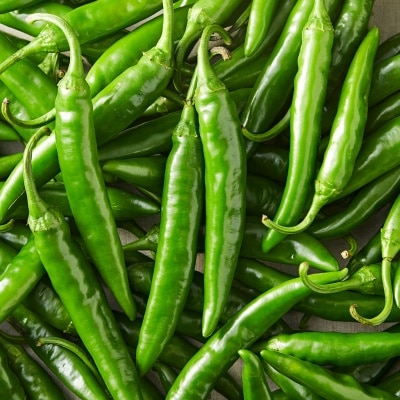 맛있게 매운 아삭아삭 신홍 청양고추! 