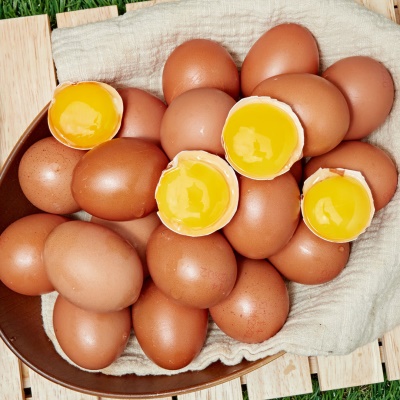 어린닭이 처음 낳은 무항생제 신선한 초란 달걀 계란