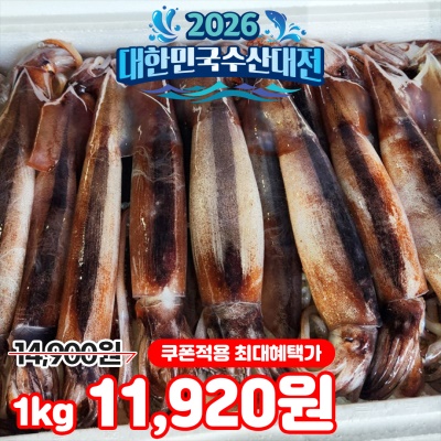 당일바리 싱싱한 생물 통찜 오징어 초코 오징어 1kg
