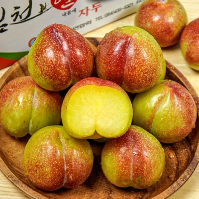 26년 산지 첫 수확 달콤한 여름 늦자두 추희자두