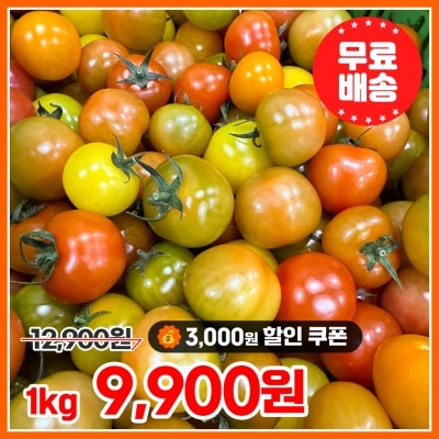 입안에서 톡톡 터지는 상큼한! 송이 토마토 칵테일 토마토