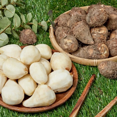 산지직송 GAP인증 받은 무농약 햇 생 토란 1kg