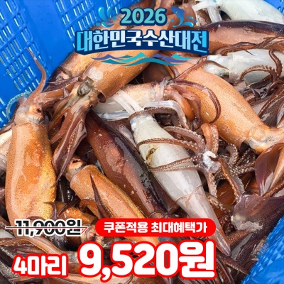 신선 생물 급냉 싱싱한 손질 통오징어 - 2마리씩 개별포장