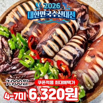 내장 가득! 선도 좋고 싱싱한 급냉 통찜오징어 4-7미