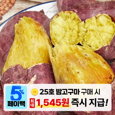 [페이백] 제대로 퍽퍽한 신품종 25호! 햇 밤고구마