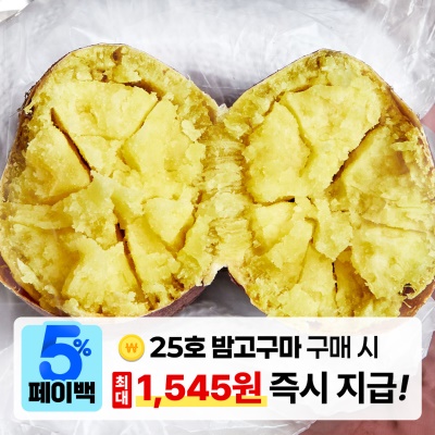 [페이백] 제대로 퍽퍽한 신품종 25호! 햇 밤고구마