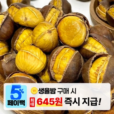 [페이백] 오독오독 고소한 칼집밤 약단밤 생율밤 1kg