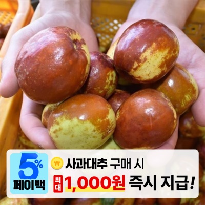 [페이백] GAP인증 아삭하고 달콤한 경북 경산 햇 사과대추