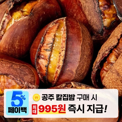 [페이백] 포슬포슬 맛 좋은 최상품 햇 공주밤 칼집밤