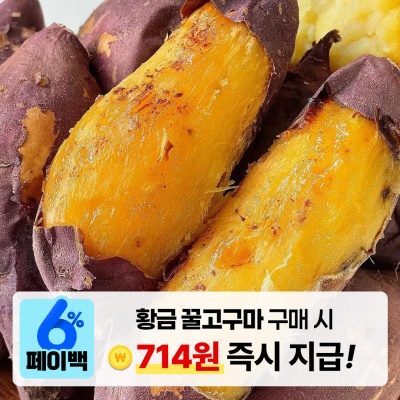 언제 먹어도 맛있는 자체 선별 달콤한 황금 꿀고구마 