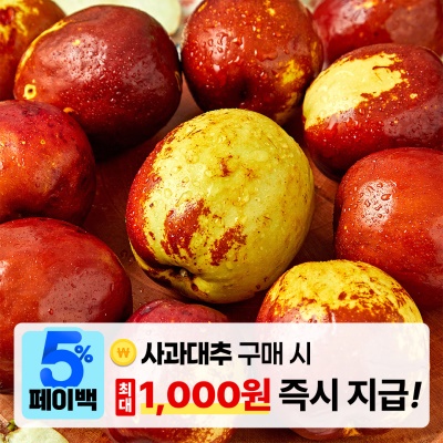[페이백] GAP인증 아삭하고 달콤한 경북 경산 햇 사과대추