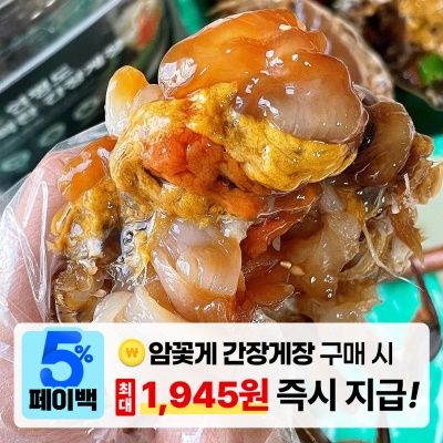 [페이백] 돌쇠네 비법간장 연평도 알배기 암꽃게 간장게장