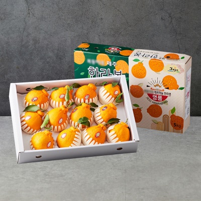 제주 제철 만감류 한라봉 선물세트