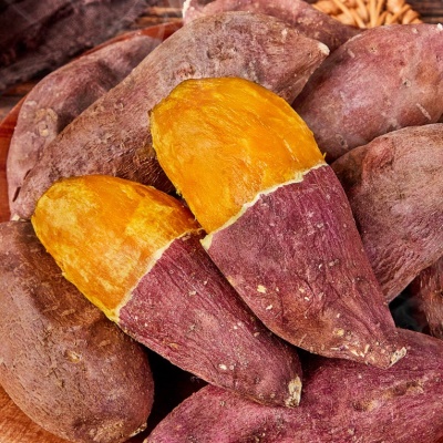 해남 산지직송 촉촉한 꿀 호박고구마 5kg 10kg