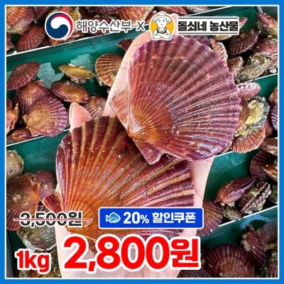 통통한 통영 A급 국내산 홍가리비 1kg (17미 내외)