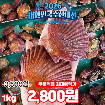 통통한 통영 A급 국내산 홍가리비