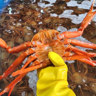 수율 80% 이상! 수율 꽉-꽉 국내산 박달 홍게 2kg