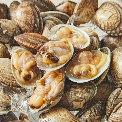 [특가할인] 당일어획 남해안 통영산 활 바지락 