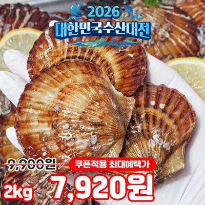 알이 꽉-차고 달큰한 참가리비+홍가리비 개량종 흑백 가리비 2kg