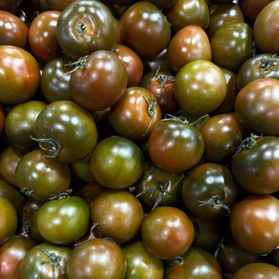 [1kg 추가증정] GAP인증 담양 수확 산지직송! 흑토마토 