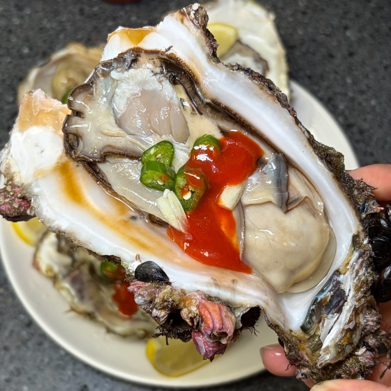 [특가할인] 프리미엄 삼배체굴 바위굴 (손질, 횟감용, 찜용)