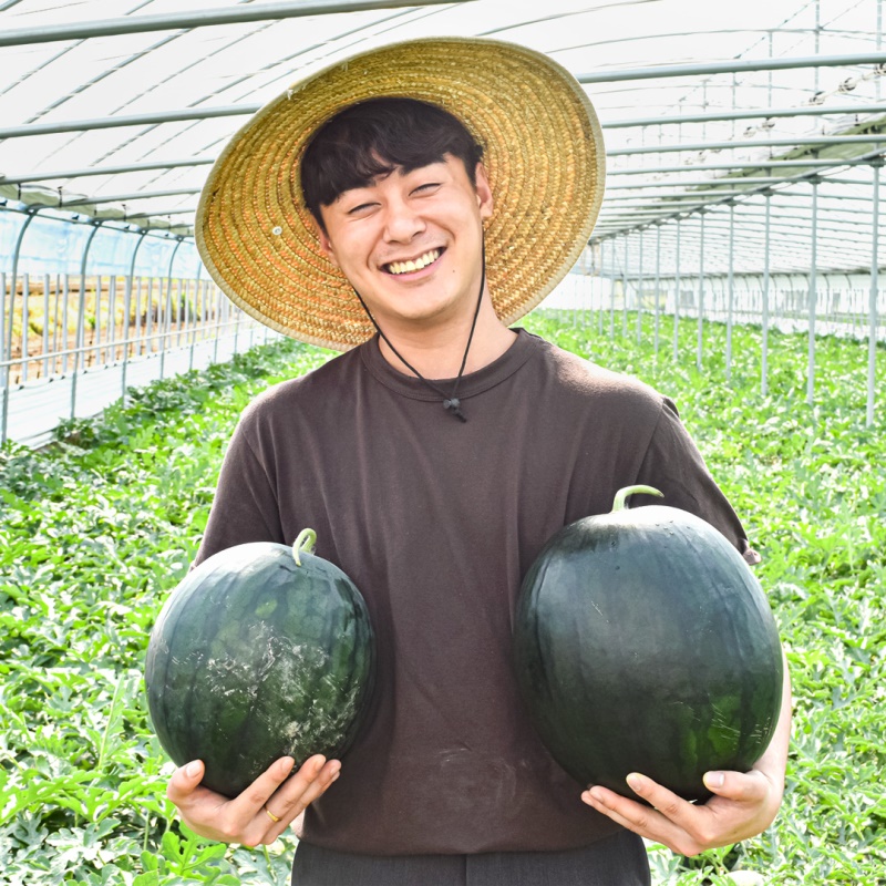 [특가할인] 돌쇠네 자체선별 프리미엄 고당도 황토밭 흑수박