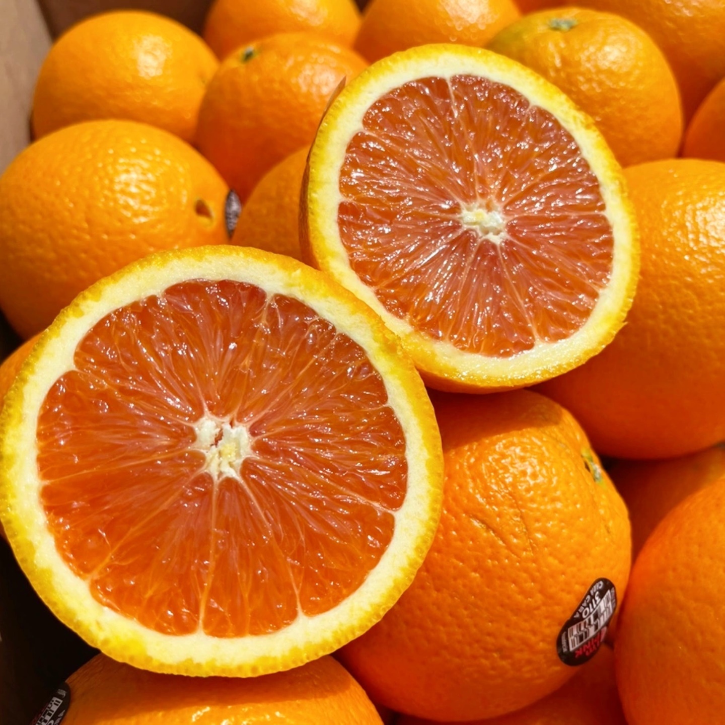 [특가할인] 달콤한 카라카라 오렌지 자몽 오렌지