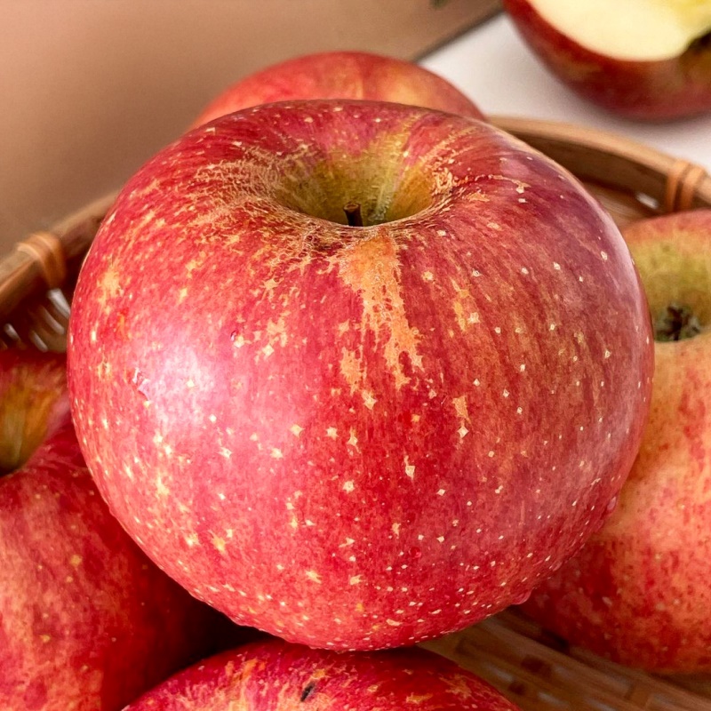 [특가할인] 맛있는 사과만 담았다! 아삭 달콤한 가정용 로얄 부사사과 3kg