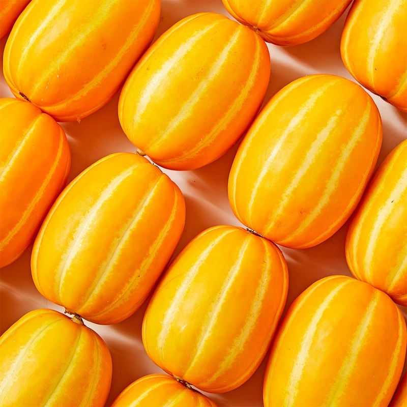 [특가할인] 돌쇠네 자체선별 프리미엄 하우스 성주 꿀참외