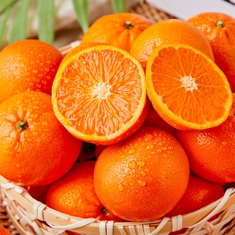 [특가할인] 프리미엄 고당도 만다린 귤 오렌지