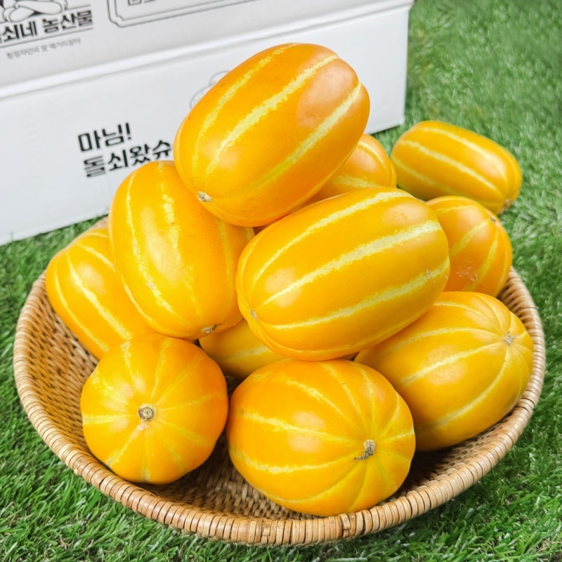 [특가할인] 자체선별 프리미엄 하우스 성주 꿀참외