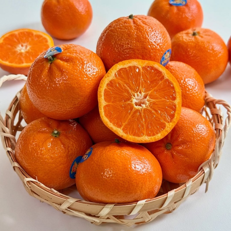 [특가할인] 프리미엄 고당도 만다린 귤 오렌지